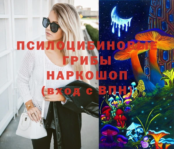 Альфа ПВП Армянск