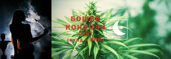 ГАЛЛЮЦИНОГЕННЫЕ ГРИБЫ Арсеньев
