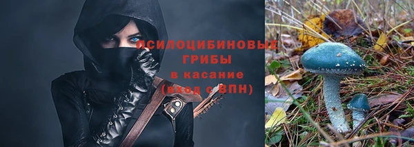 ГАЛЛЮЦИНОГЕННЫЕ ГРИБЫ Арсеньев